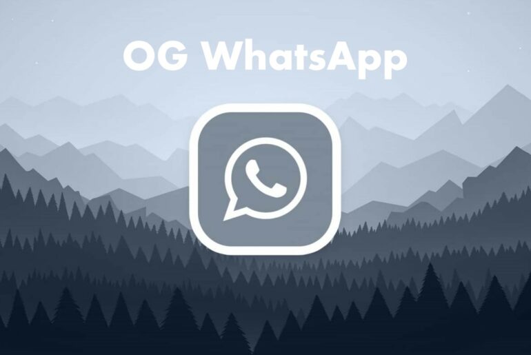 OG WhatsApp, WhatsApp GB