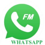 FM WhatsApp, WhatsApp GB