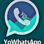 yowhatsapp atualizado