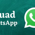 Fouad WhatsApp, WhatsApp GB