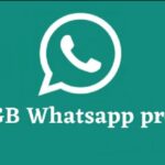 WhatsApp GB Pro